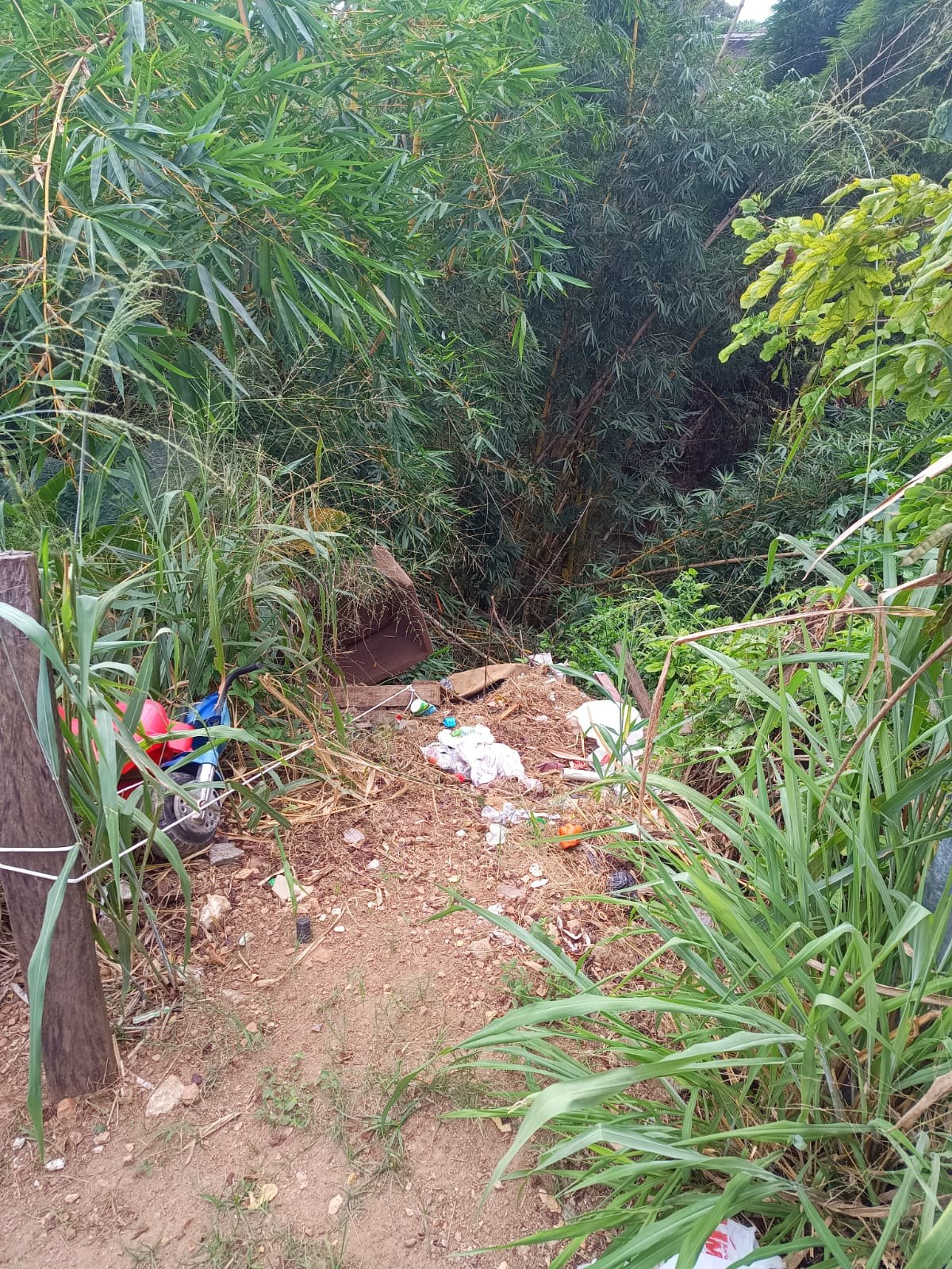 PEDIDO DE PROVIDÊNCIA: Morador do bairro Floresta pede limpeza de área com bueiro