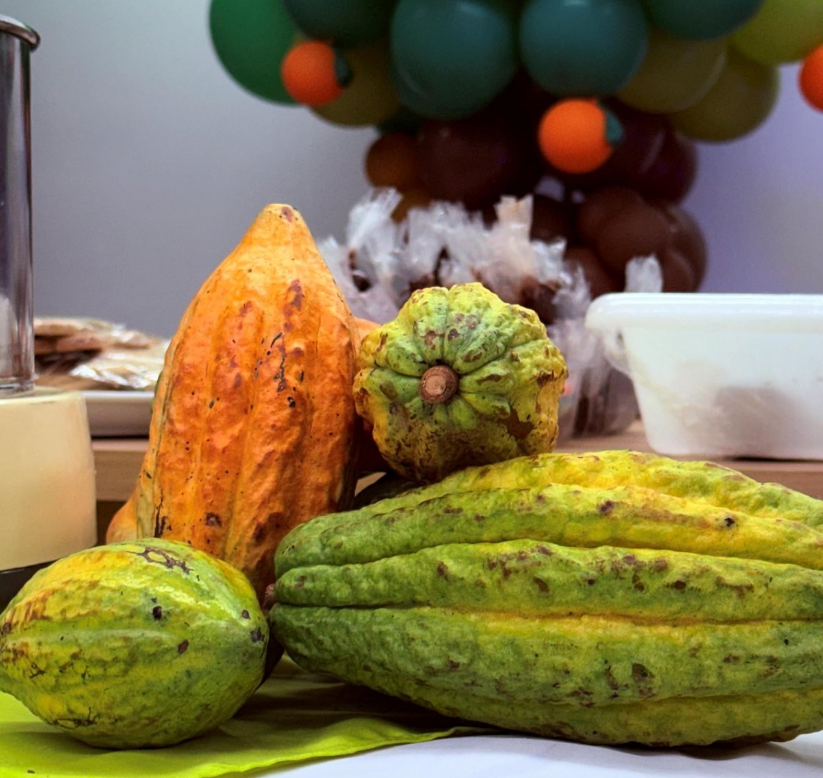 SEBRAE: Oficina de chocolate reúne 70 crianças em Ji-Paraná