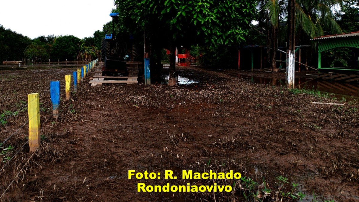 RECOMEÇO DIFICIL: O desafio agora no Baixo Madeira é vencer o lamaçal