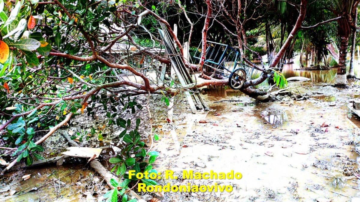 RECOMEÇO DIFICIL: O desafio agora no Baixo Madeira é vencer o lamaçal