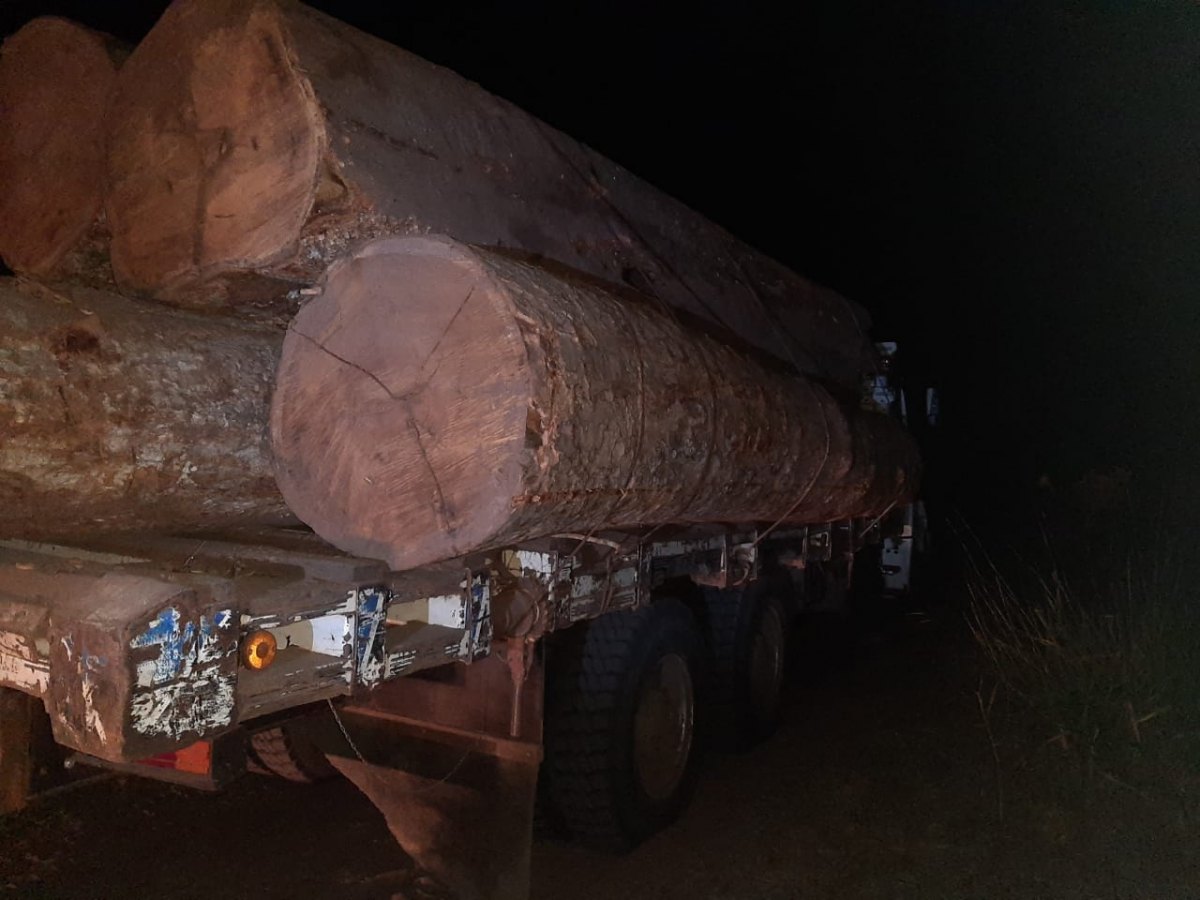 FURTO: Homens são presos transportando madeira ilegalmente
