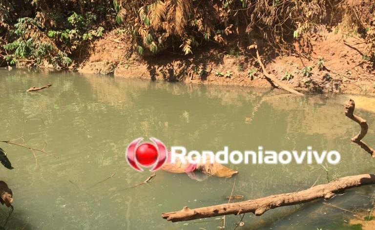 DESOVADO: Corpo encontrado em lago ainda espera por reconhecimento no IML