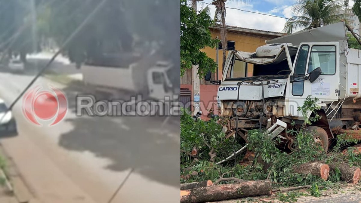 NA IMIGRANTES: Vídeo mostra caçamba derrubando árvore; PRF prende motorista 