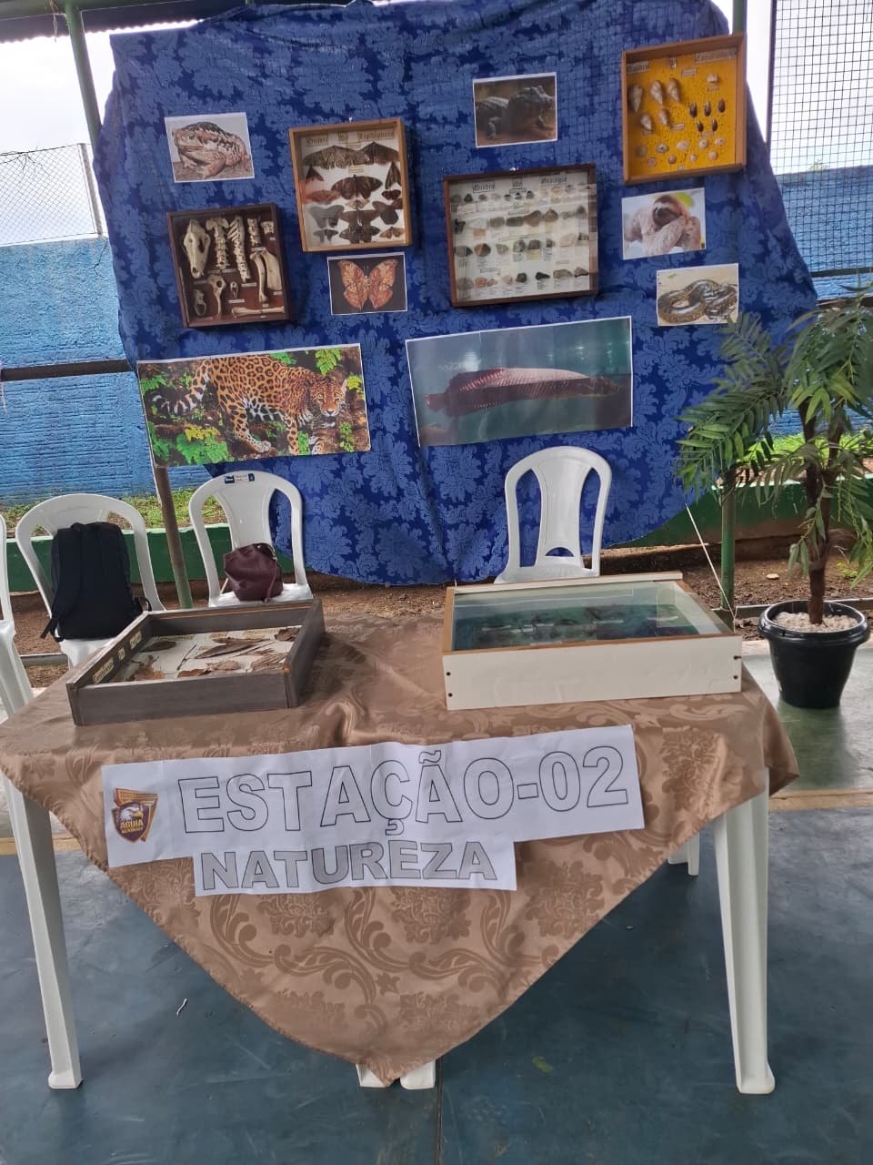 DBV POR UM DIA: Desbravadores promovem ação comunitária e educativa em escola de Porto Velho