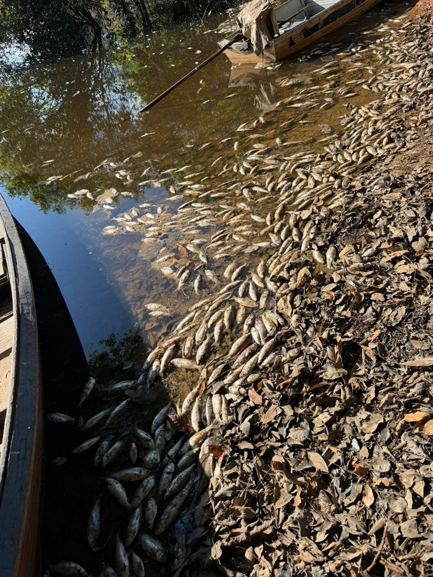 RESERVA DO CUNIÃ: Choque térmico por friagem mata peixes e ameaça sustento de famílias ribeirinhas