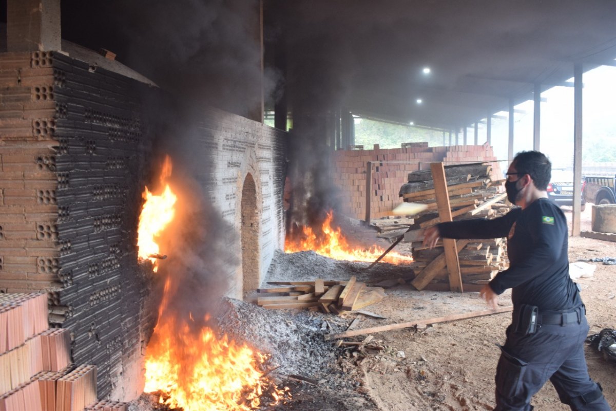 FOGO: PF incinera mais de uma tonelada de drogas em Porto Velho; VÍDEO