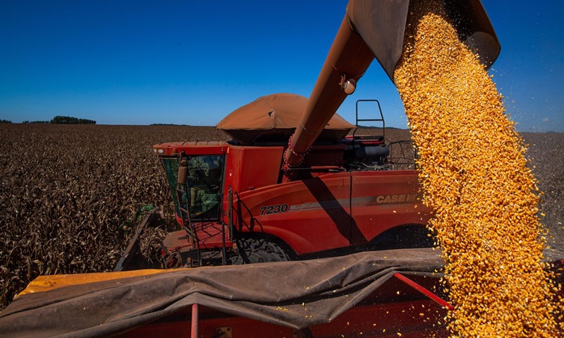 PRODUÇÃO: IBGE reduz previsão, mas Brasil deve ter safra recorde de grãos