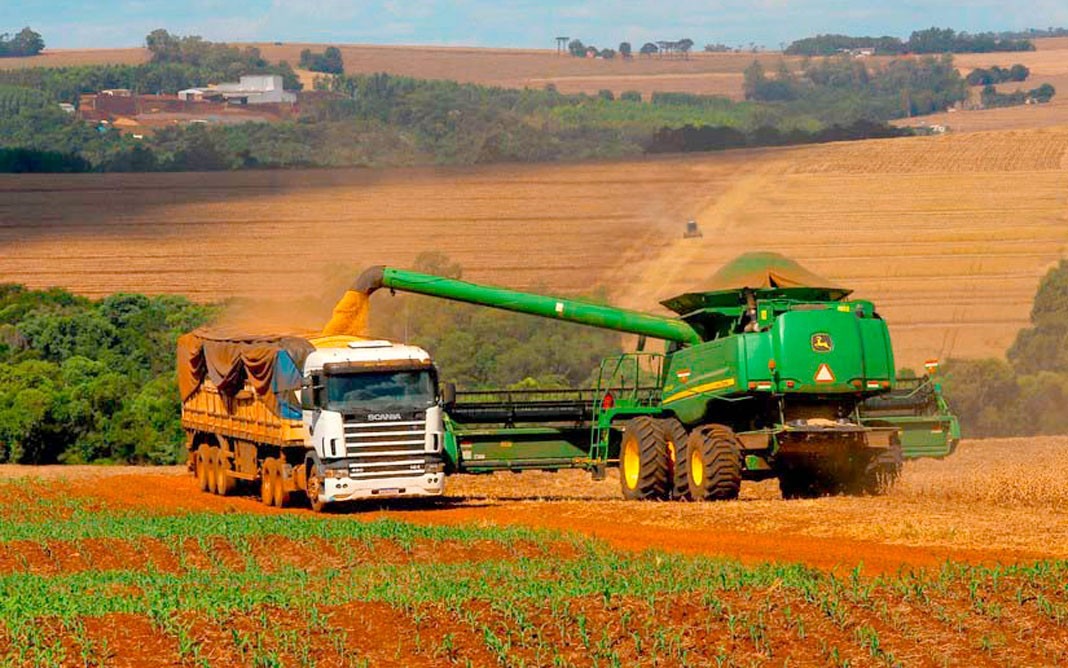 AGRICULTURA: Pronaf disponibilizará R$ 60 bi para financiar Plano Safra 2022/23
