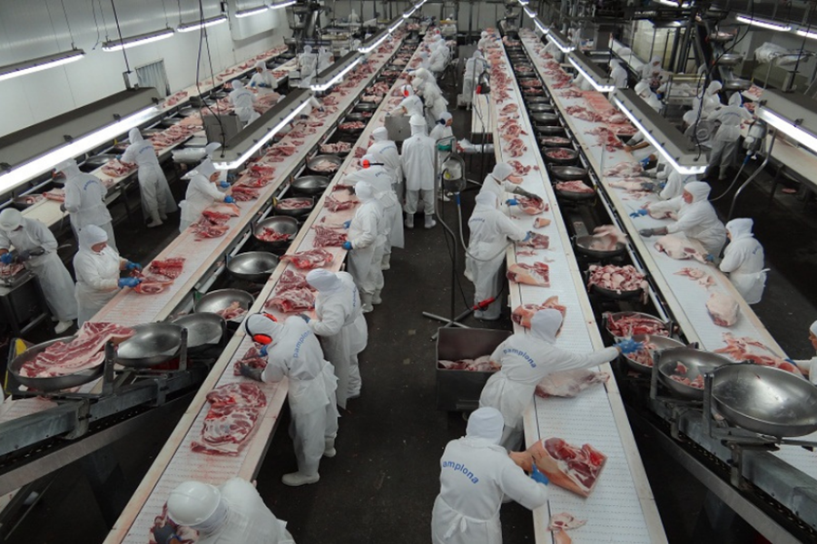 CARNE LEGAL: Frigoríficos da Amazônia têm 13 vezes menos irregularidades que os demais