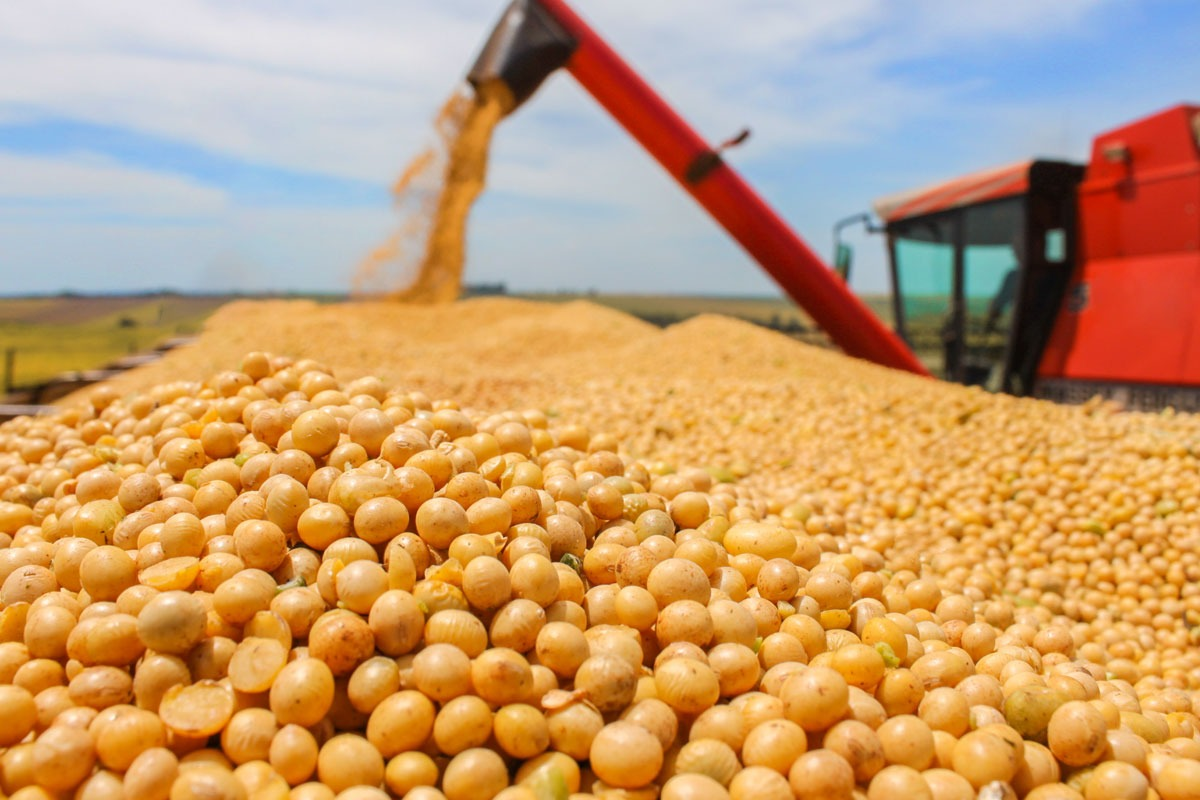 MERCADO: Exportação de soja do Brasil dispara na 1ª semana de janeiro