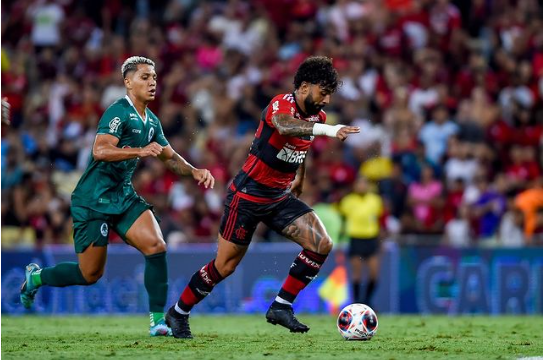 FUTEBOL: Quem tem mais títulos, Flamengo ou Palmeiras?