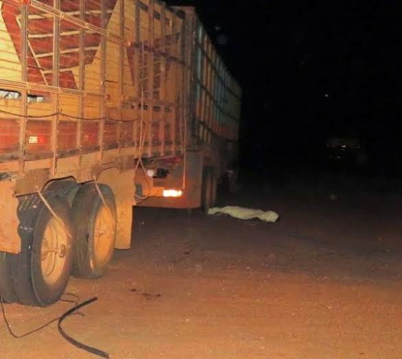 TRÁGICO: Criança morre após acidente com caminhão boiadeiro em distrito de Porto Velho 