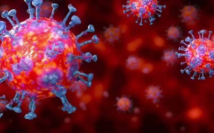 PANDEMIA: Confira o boletim diário sobre o coronavírus das últimas 24 horas