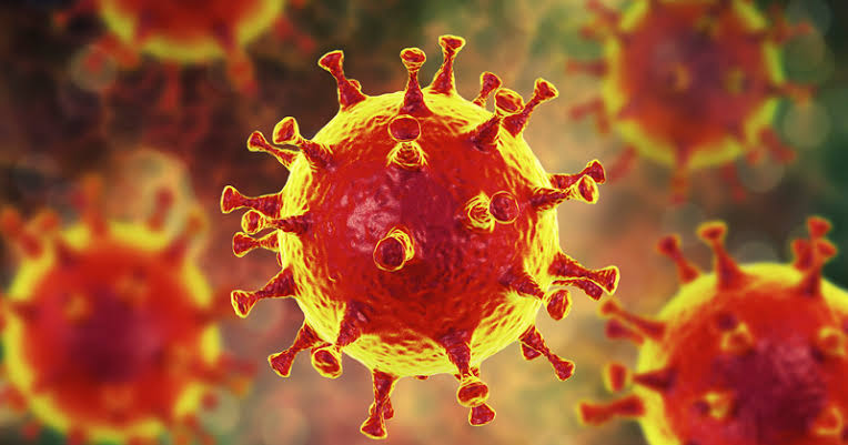 RONDÔNIA: Confira o boletim diário sobre o coronavírus das últimas 24 horas