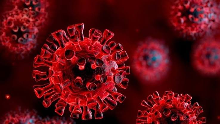 VÍRUS FATAL: Mais 1.159 casos de coronavírus são confirmados em 24h e 12 mortes
