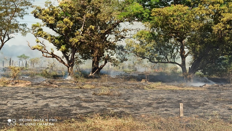 PERIGO: Área de nascentes que abastecem Porto Velho é alvo de incêndio