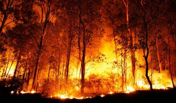 EM BRASA: Em 24 horas o número de queimadas em Porto Velho aumentou em 314 focos de fogo