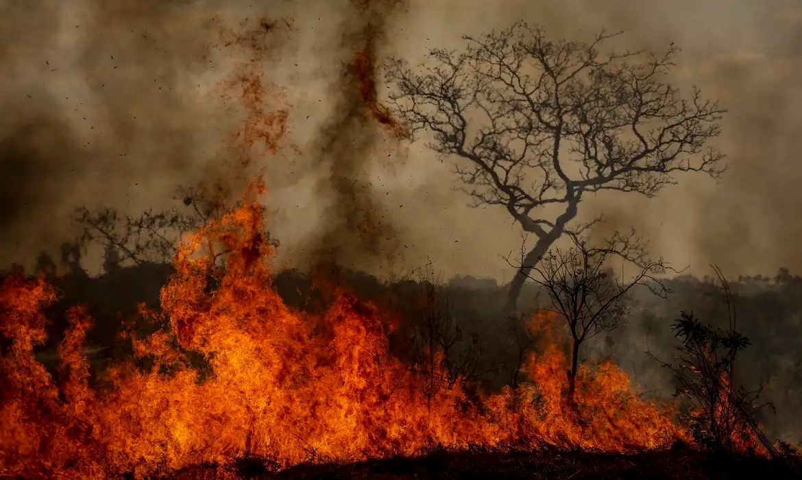 PREOCUPANTE: Desastres climáticos aumentaram 250% nos últimos quatro anos no país