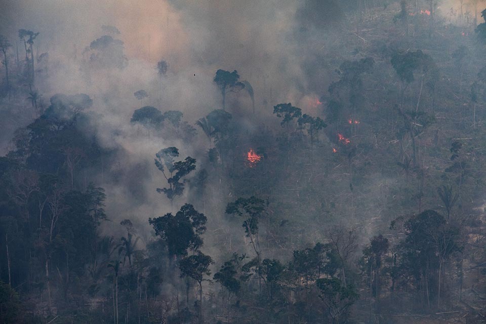 FLORESTA: Com Exército há um mês na Amazônia, queimada diminui e desmate aumenta