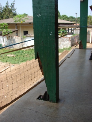 Colunas que sustentam teto estão podres - foto