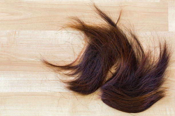 MACABRO: Mulher é investigada por cortar cabelo de cadáver para fazer alongamento 