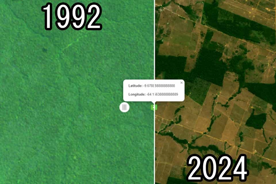 214 CAMPOS DE FUTEBOL: Frigoríficos terão de pagar milhões após destruição de reserva ambiental em RO