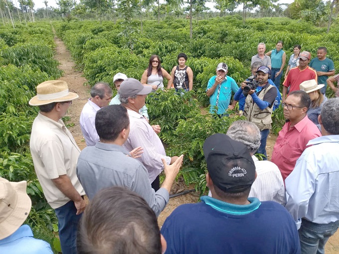 AGRICULTURA: Lançamento da 2ª etapa do programa Pró-Café em Porto Velho