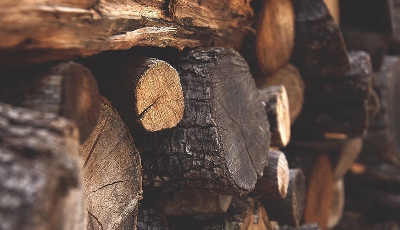 VILHENA: MP analisa processo sobre destinação de madeiras e veículos apreendidas pela PRF