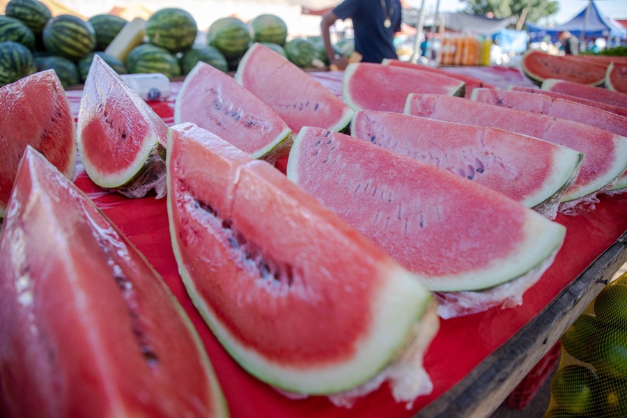 AGRICULTURA: 'Dia de Campo' sobre o plantio de melancia será na sexta-feira (08)