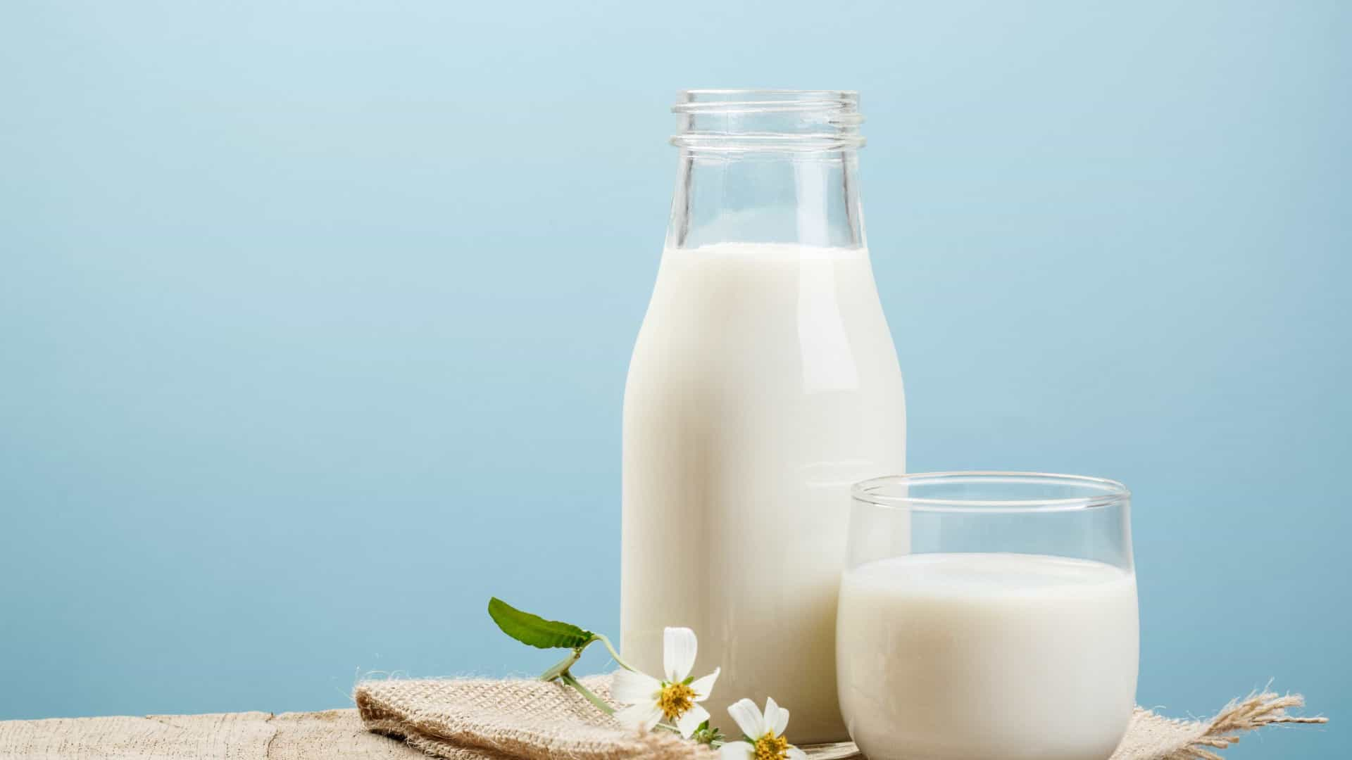 SAÚDE: Mitos e verdades: tudo que precisa saber sobre intolerância à lactose