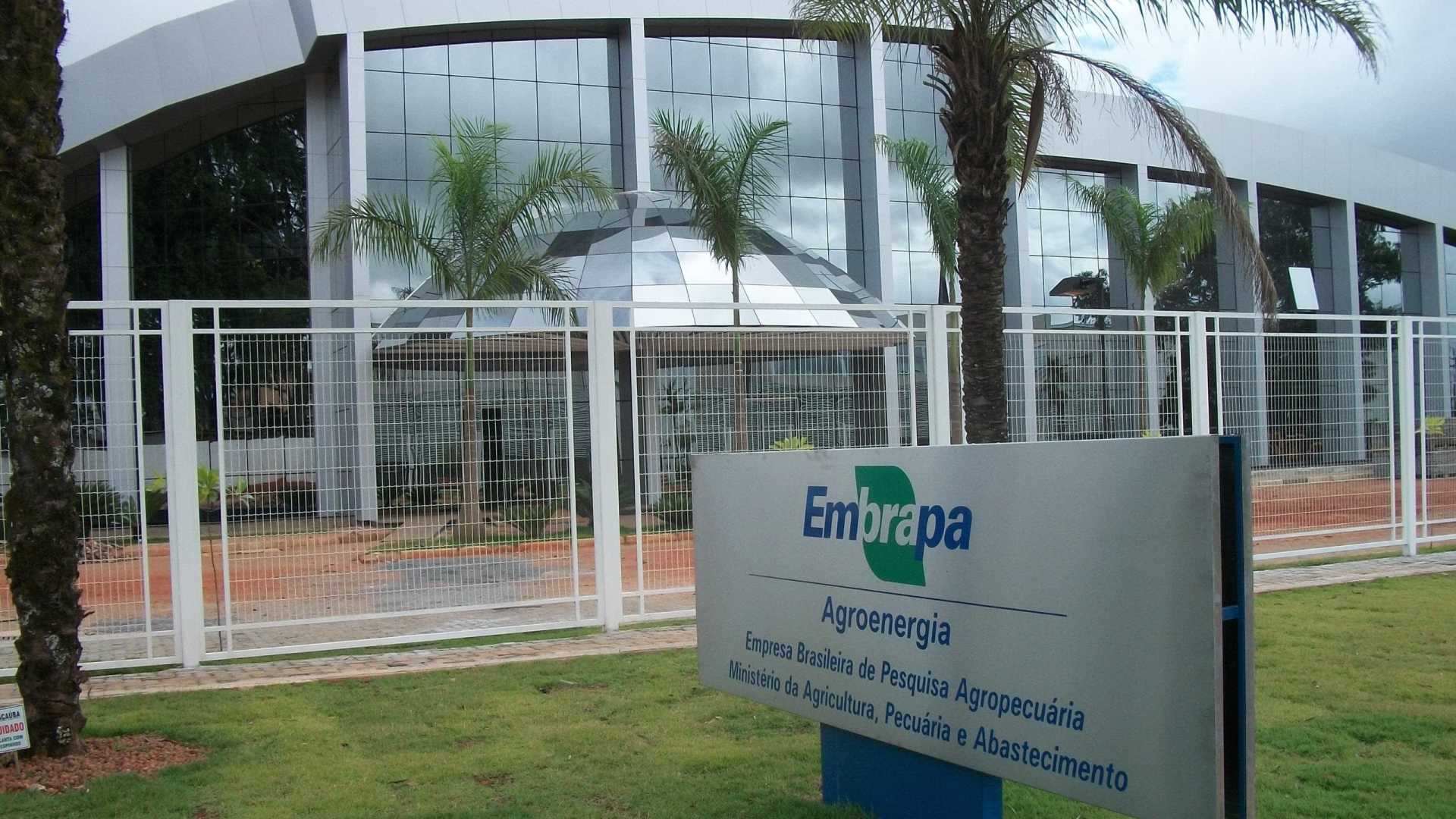 Embrapa perde relevância para o agronegócio