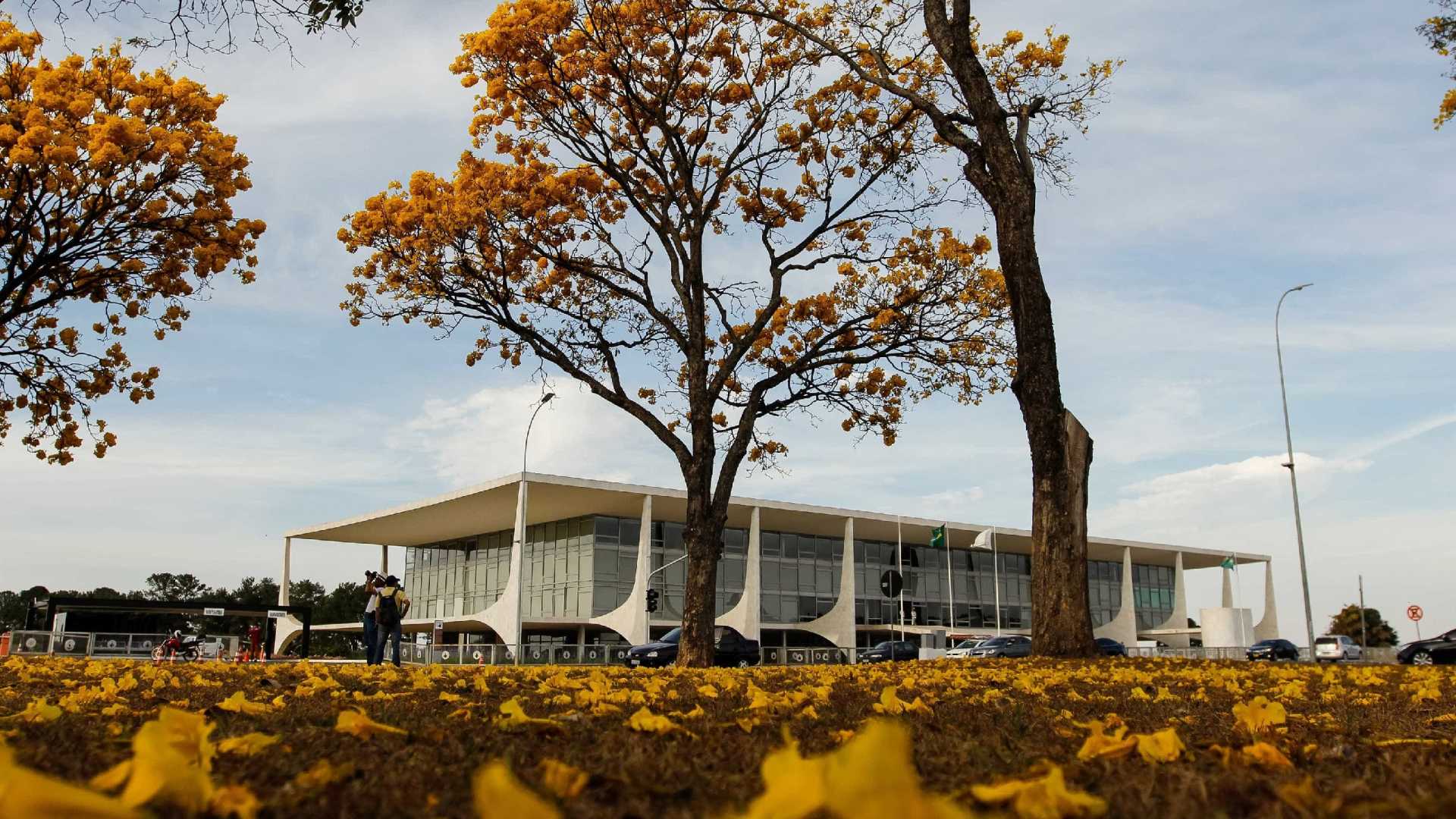 FLORES: Presidência da República vai gastar R$ 6 milhões anuais com jardinagem