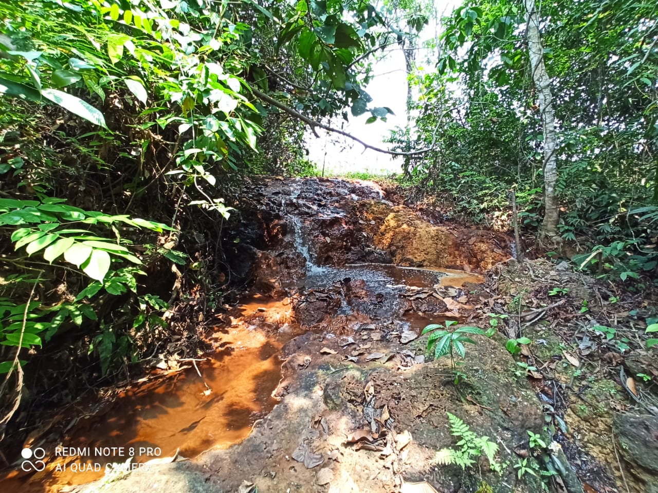 PVH EM PERIGO: Moradores contra obra de aterro sanitário em cima de nascentes de água