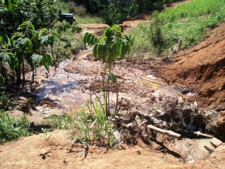 Aterro em nascente de igarapé gera multa à Prefeitura e ocupantes tentam ganhar local de proteção ambiental na Justiça