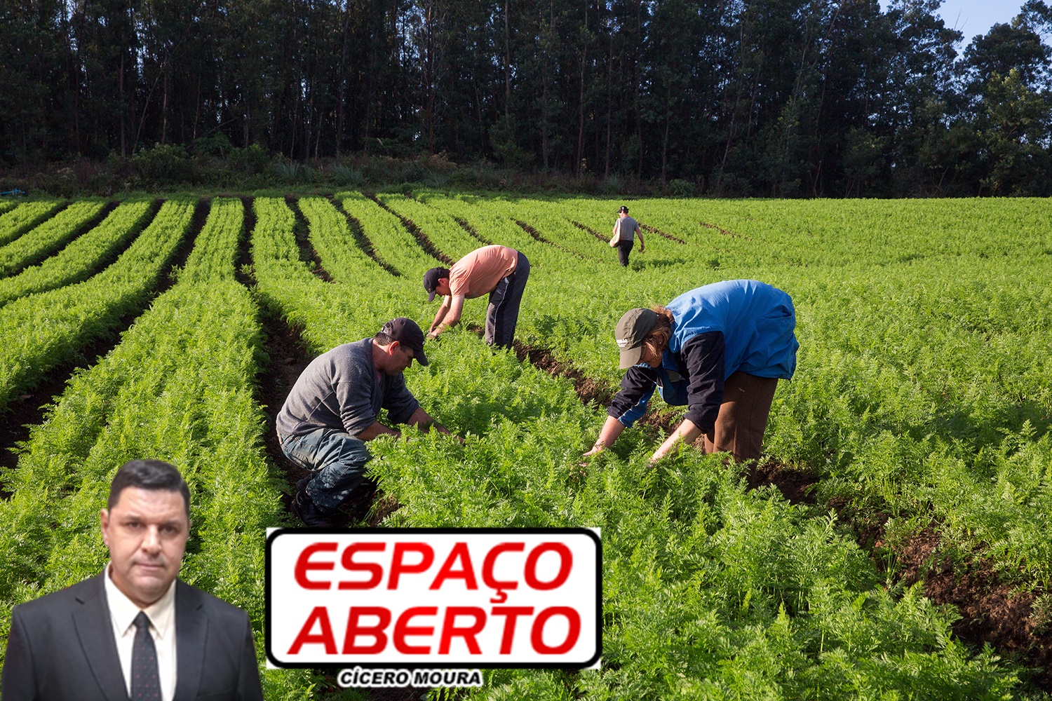 ESPAÇO ABERTO: Dinheiro Federal para pequenos produtores de RO pode virar caso de polícia