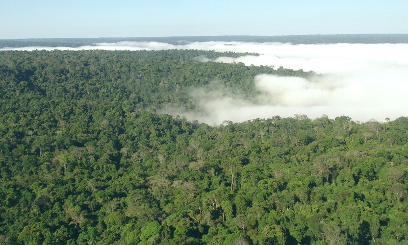 NATUREZA: Petrobras patrocinará 68 projetos socioambientais em 2019 e 2020