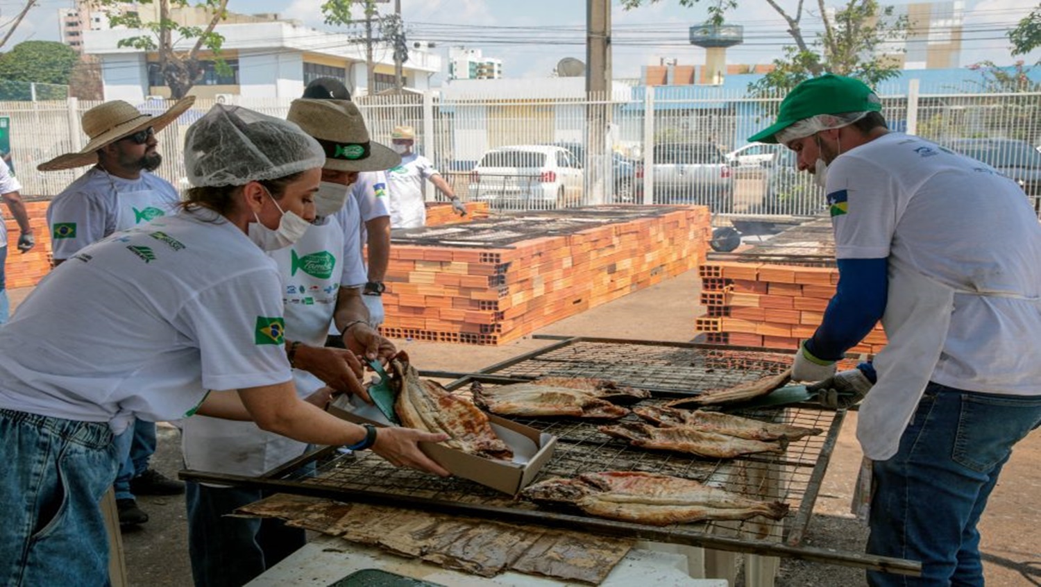 TAMBAQUI E PIRARUCU: Primeiras 20 toneladas de peixe de Rondônia chegam aos EUA em abril