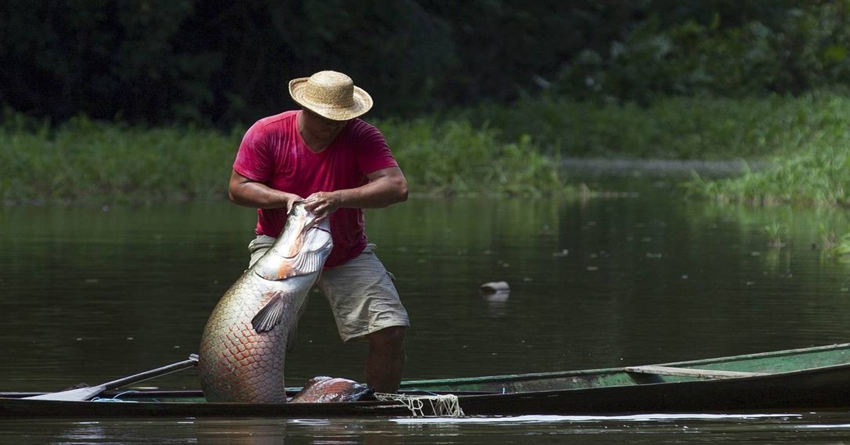 PROFISSIONAIS: Pescadores de todo o Brasil devem fazer recadastramento online