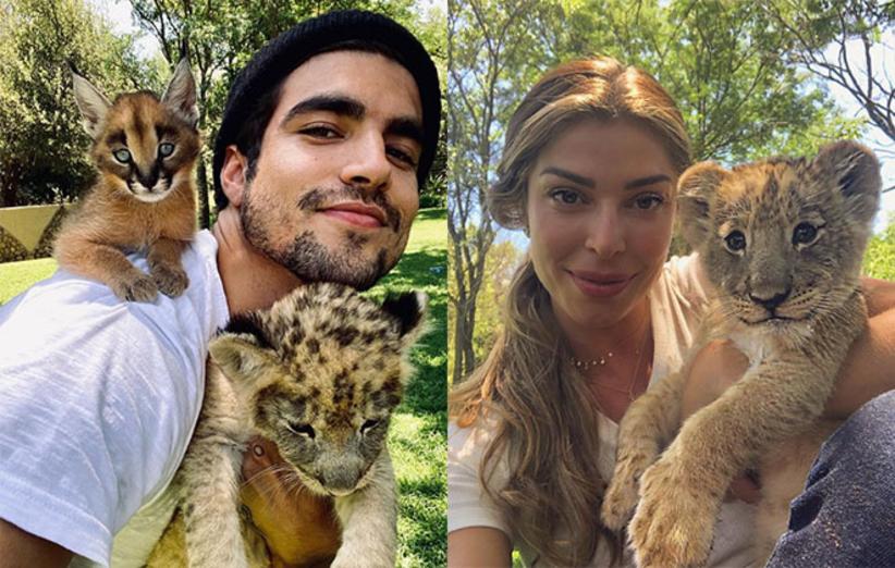 INSTAGRAM: Luisa Mell detona Grazi Massafera e Caio Castro após selfie com animais silvestres