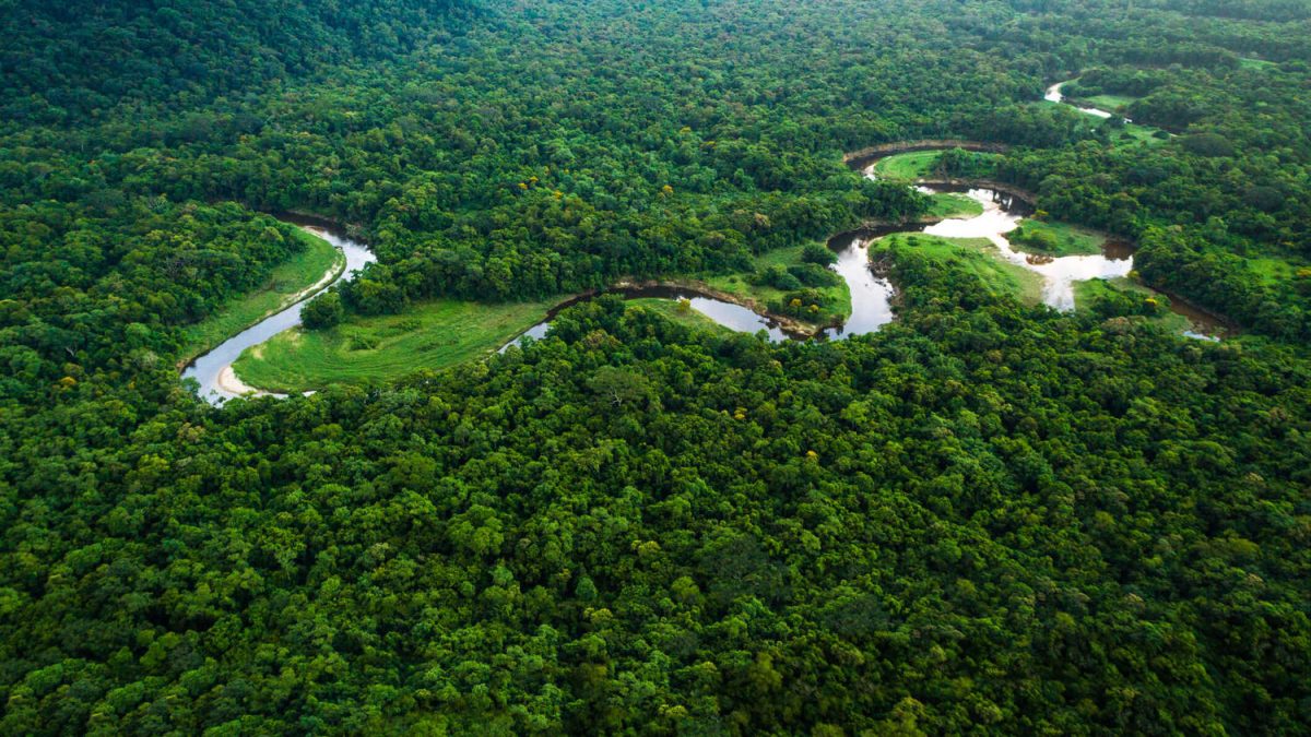 AMAZÔNIA: Força-Tarefa apresenta balanço de atuação no combate ao crime na região