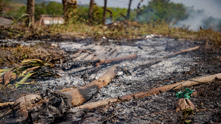 MEIO AMBIENTE: Prefeitura de Porto Velho reforça fiscalização contra queimadas