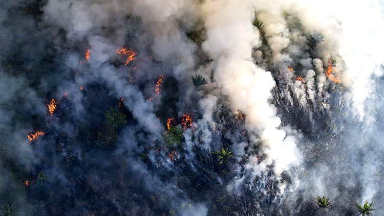 DESMATAMENTO: Governo estuda enviar Exército para combater queimadas na Amazônia