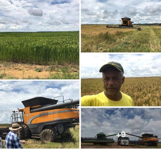 Colhedeira do governo do Acre é usada em fazenda de Rondônia