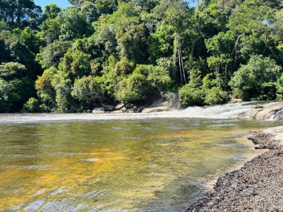 TURISMO: Parceria fortalece experiências turísticas de RO no mercado internacional