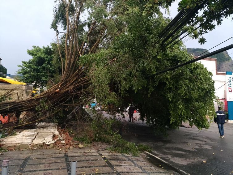 CATÁSTROFE: Tempestade deixa três mortos na capital do Rio de Janeiro