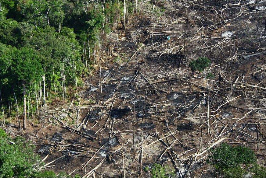 LAMENTÁVEL: Ministro do Meio Ambiente diz que Fundo Amazônia pode ser extinto