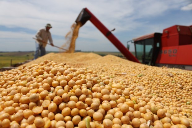 CAMPO: Senado aprova MP do Agro e texto vai à sanção presidencial