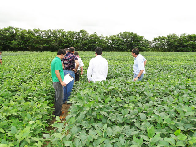 E​mbrapa inicia Dias de Campo de Soja em Rondônia