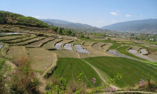 PROIBIÇÃO: Futuro governo não permitirá venda de terras agricultáveis à China