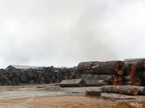 ARCO DE FOGO - Ibama inicia medição de toras nos pátios das madeireiras de Machadinho do Oeste